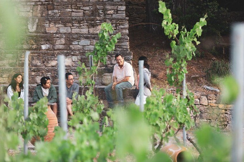 A group of people sitting on stone steps in a vineyard. 5