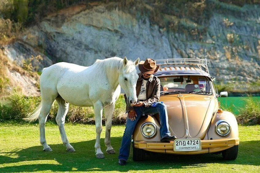 A white horse standing next to a vintage car with a man leaning on it. 1