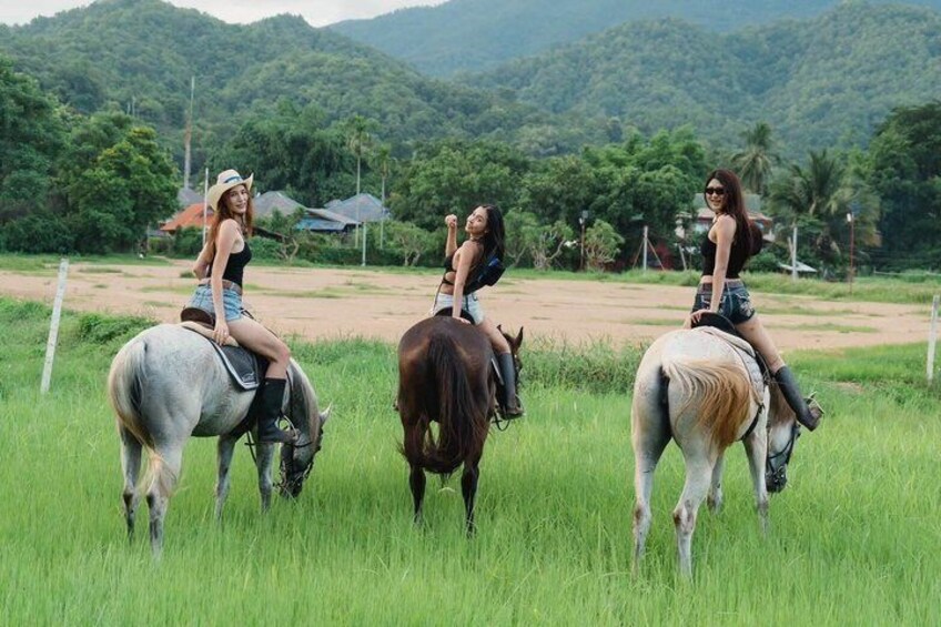 Chiang Mai Horse Riding Experience with Scenic Countryside Views 5
