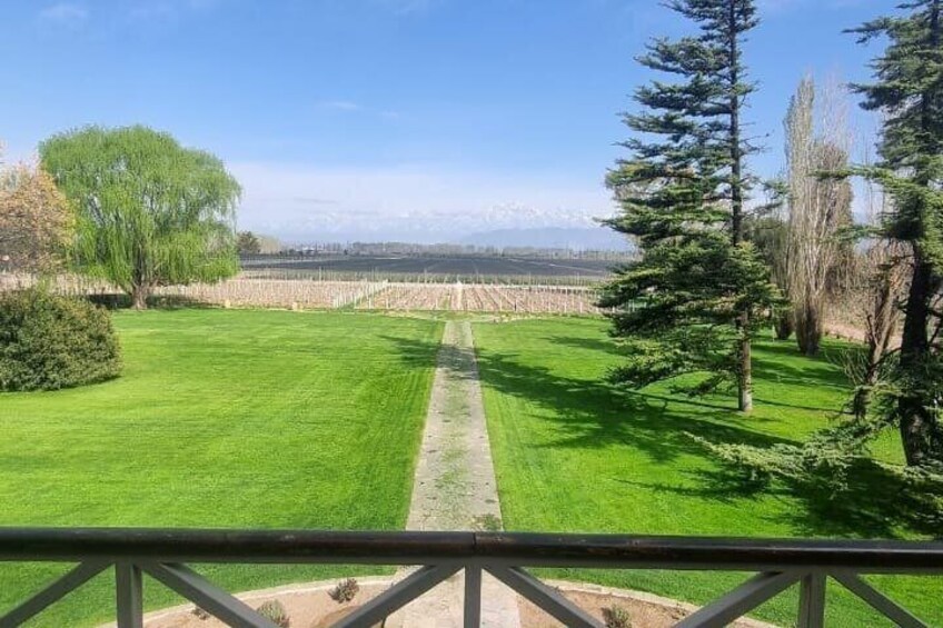 Norton Winery 2 wineries and Olivicola 4