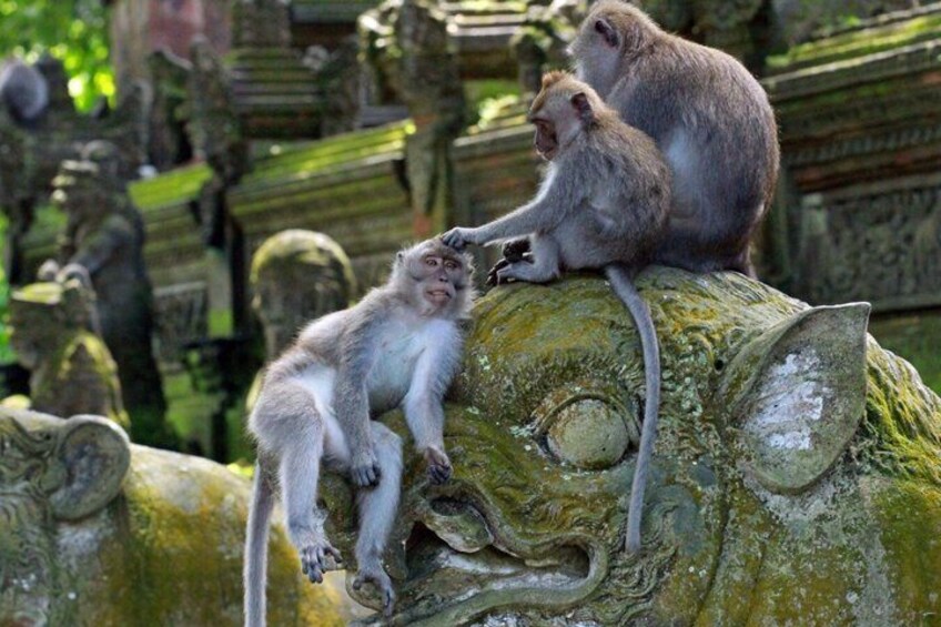 Monkeys on a stone structure with intricate carvings. 2
