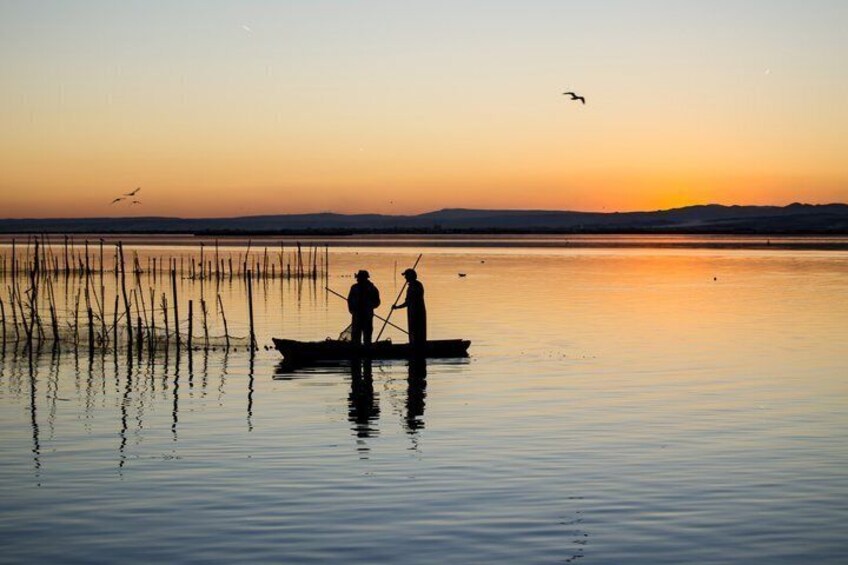 Private Albufera Tour with Boat Trip 4