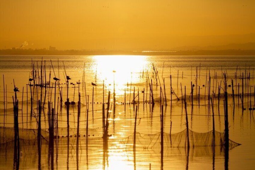 Private Albufera Tour with Boat Trip 1