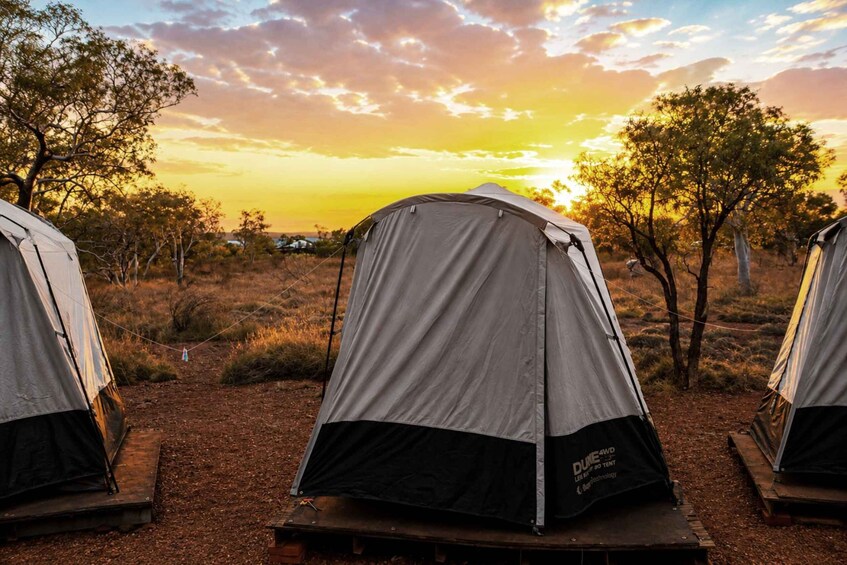 Picture 34 for Activity Broome to Perth 10-Day Tour via Karijini Ningaloo & Kalbarri 5