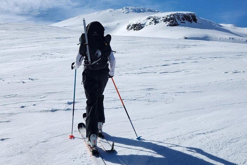 Volcano Ski Touring & Splitboarding Experience 3
