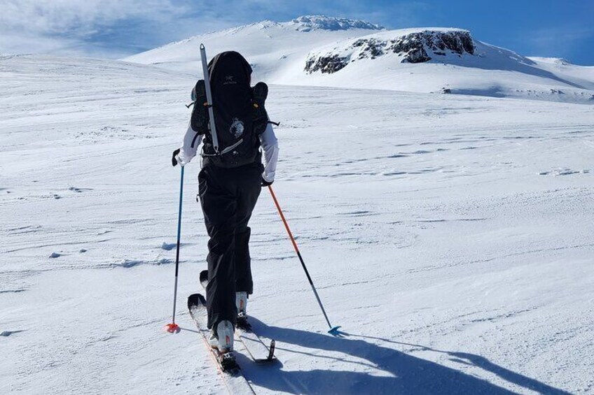 Volcano Ski Touring & Splitboarding Experience 4
