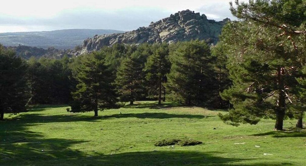 Picture 1 for Activity Peguerinos: Ruta de senderismo en la Sierra de Guadarrama 3