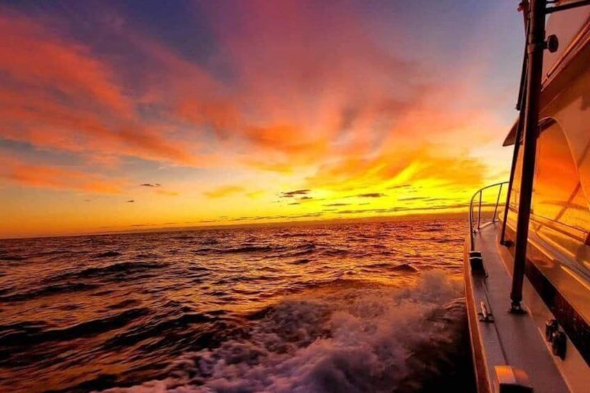 Wild Dolphin Tours and Sunset Cruises in Outer Banks, NC 2