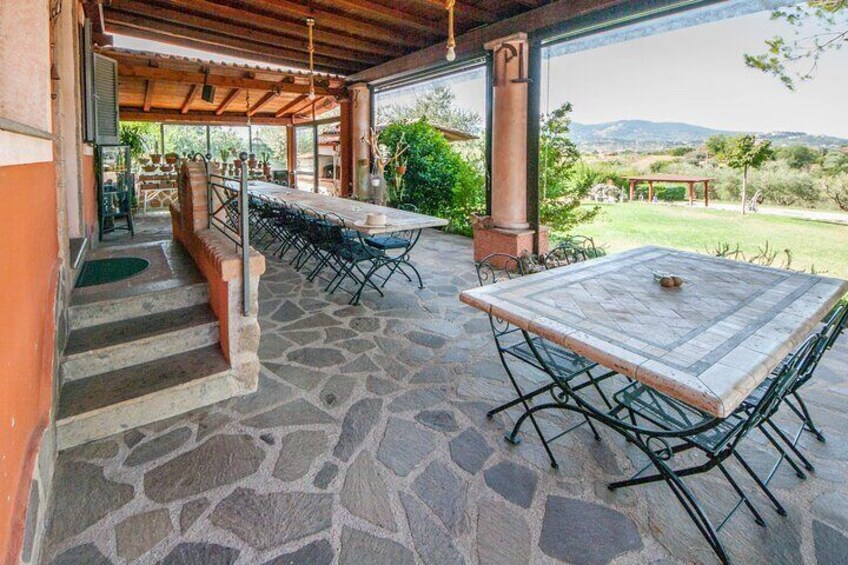 Truffle hunting near Rome with 7-course lunch 5