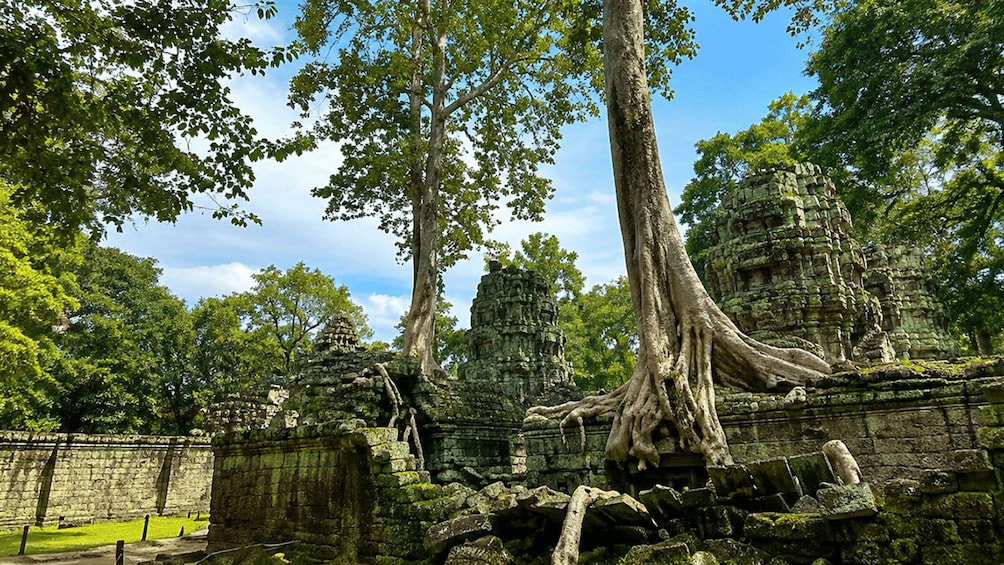 Picture 14 for Activity Siem Reap: Small-Group Guided Visit of Angkor Wat and Its Temples 3