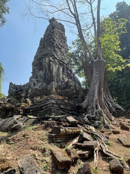 Picture 2 for Activity Siem Reap: Small-Group Guided Visit of Angkor Wat and Its Temples 5