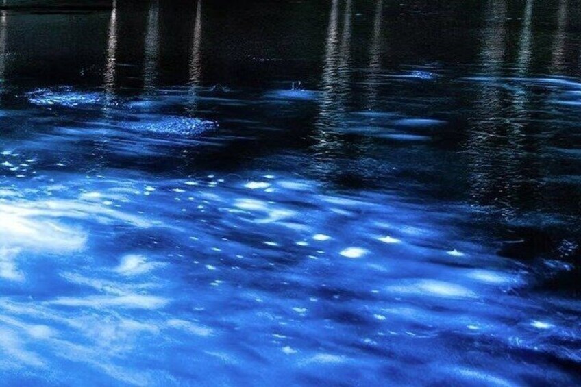 Bioluminescent Kayaking Tour Cocoa Beach 2