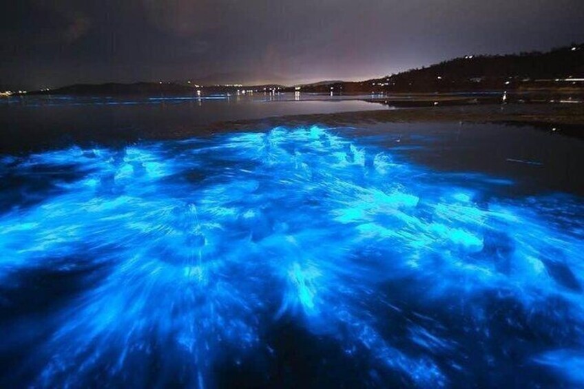 Bioluminescent Kayaking Tour Cocoa Beach 1