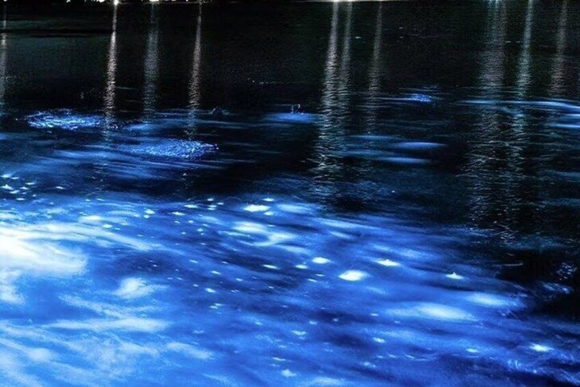 A body of water reflecting light. 5