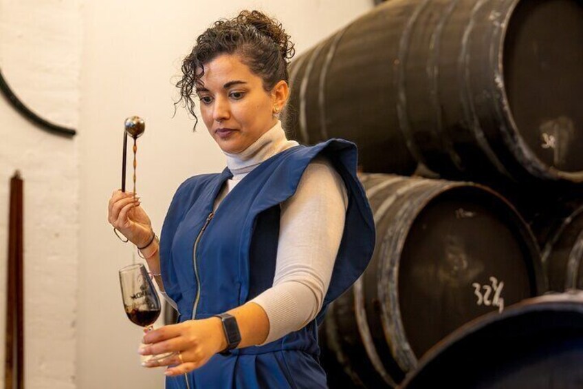 Guided Winery Tour with Wine Tastings in Jerez 2