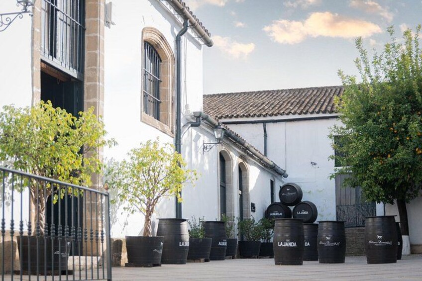 Guided Winery Tour with Wine Tastings in Jerez 2