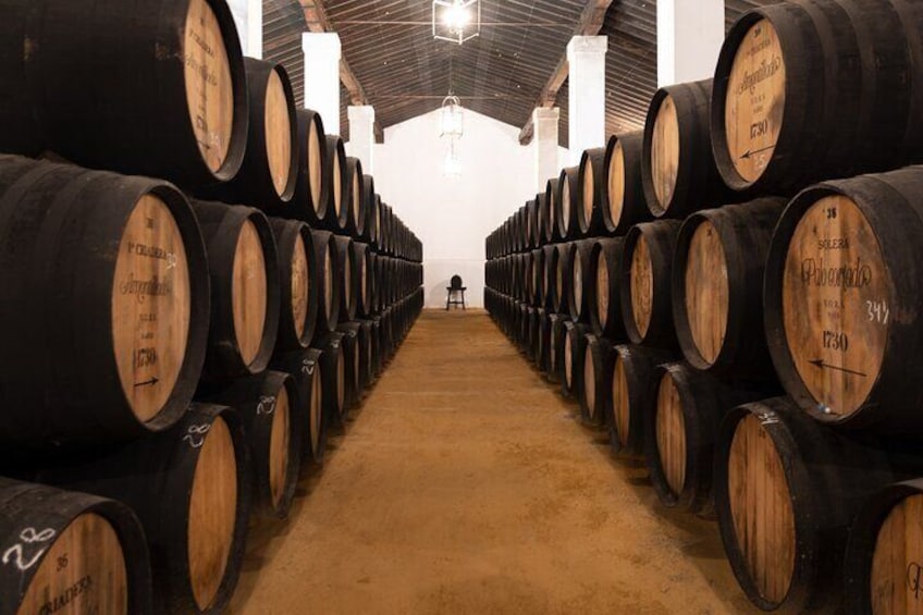 Guided Winery Tour with Wine Tastings in Jerez 1