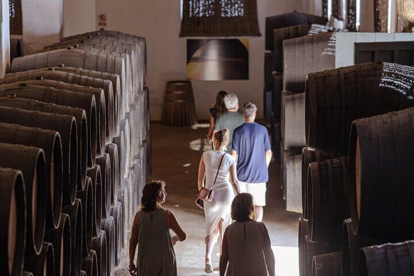 Guided Winery Tour with Wine Tastings in Jerez 4