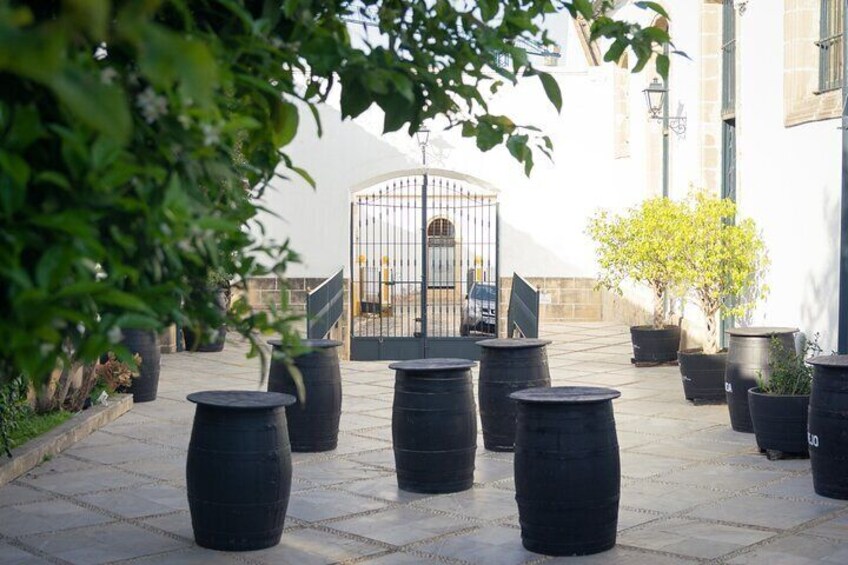Guided Winery Tour with Wine Tastings in Jerez 5