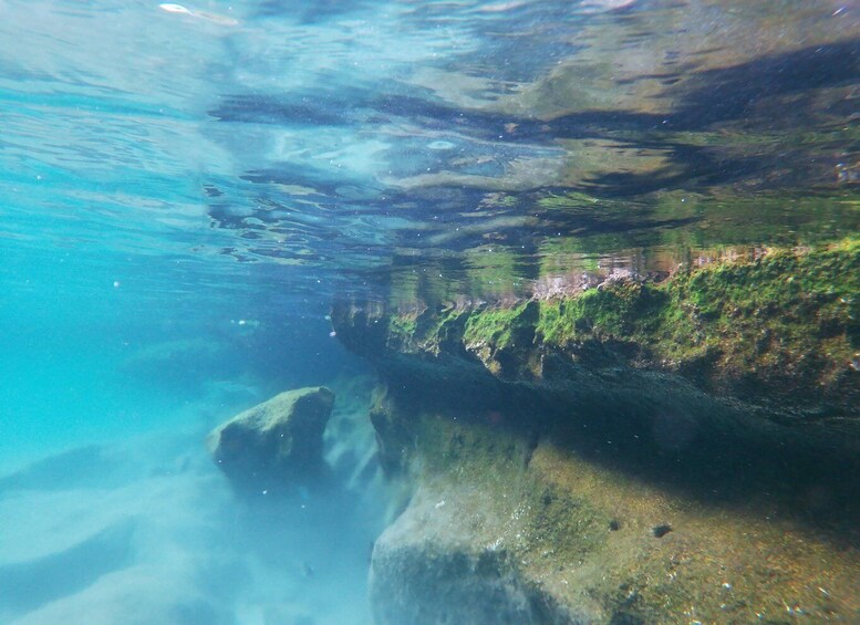 Picture 5 for Activity Akumal: Snorkeling and Boat Ride Experience 5