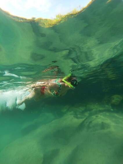 Picture 3 for Activity Akumal: Snorkeling and Boat Ride Experience 4