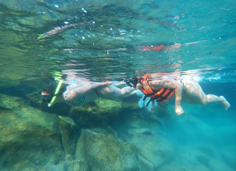 Picture 1 for Activity Akumal: Snorkeling and Boat Ride Experience 2