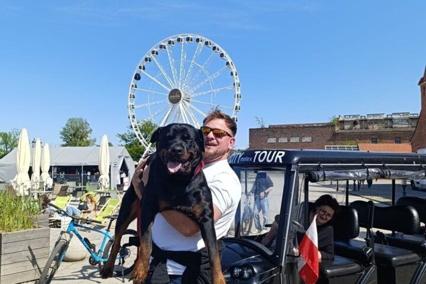 A person with a large dog on a bicycle, a Ferris wheel, and a vehicle labeled 'TOUR' in the background. 5