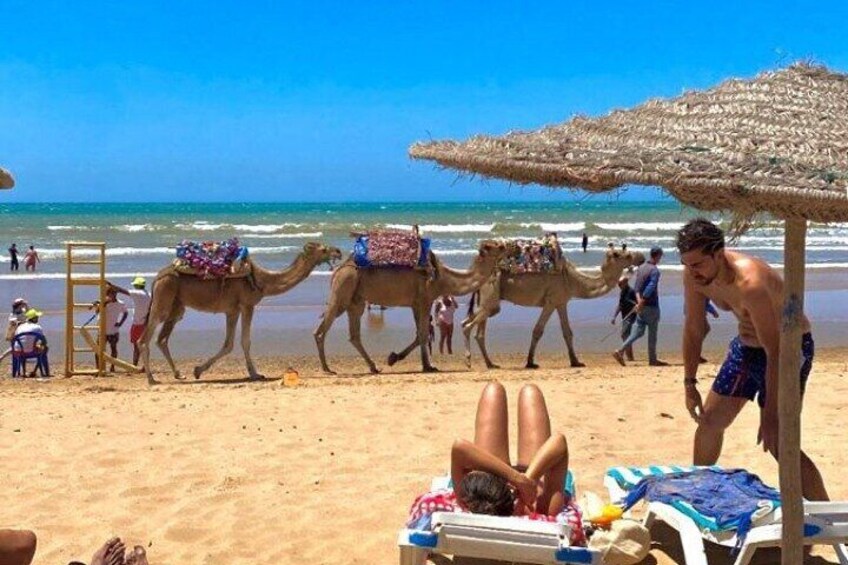 Full Day Private Tour from Morocco to Essaouira Discover it 5