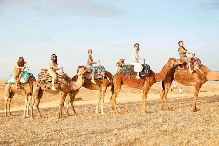 A group of people riding camels in a desert landscape. 4