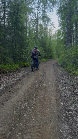 Picture 5 for Activity Talkeetna: 6-Hour Premium Aventon E-Bike Adventure 4