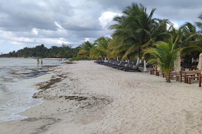 A beach with palm trees, lounge chairs, and a cloudy sky. 5