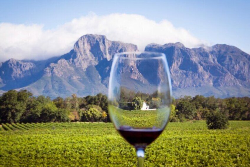 Vineyard Voyages Private Tour in Cape Town to Stellenbosch 4
