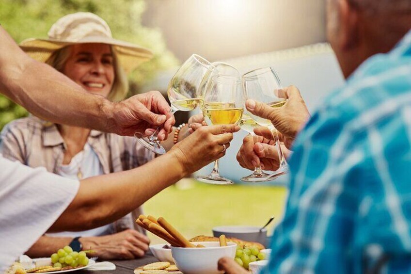 Vineyard Voyages Private Tour in Cape Town to Stellenbosch 5