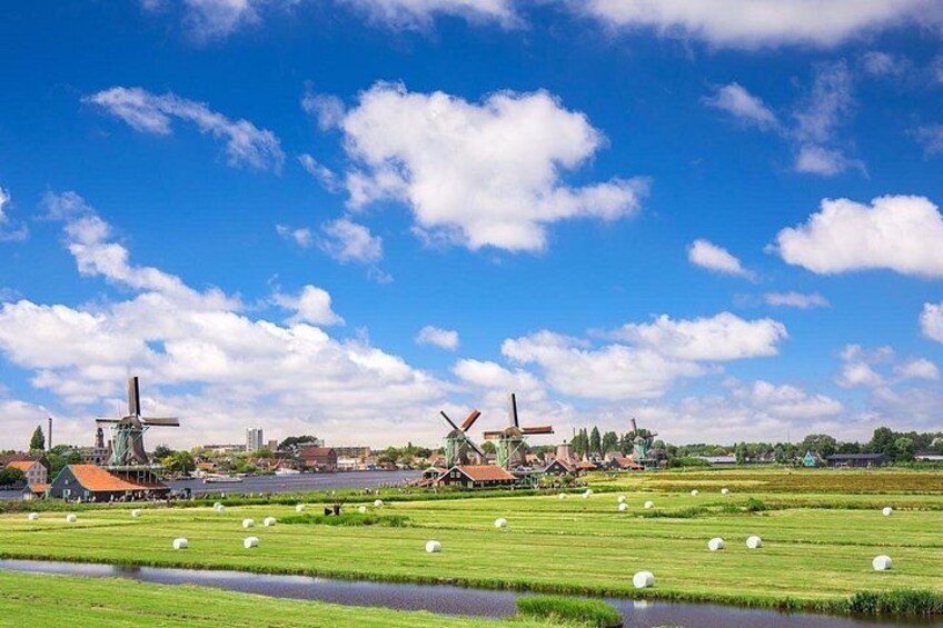 Windmills, a river, and a field with sheep. 1