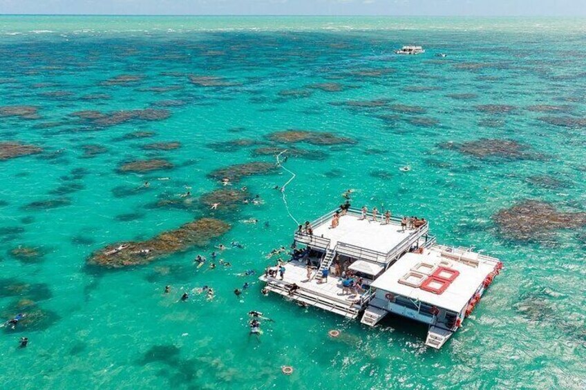 Incredible tour to the Parrachos of Maracajaú﻿ 3
