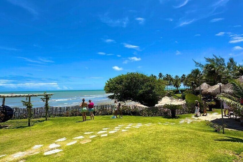 Incredible tour to the Parrachos of Maracajaú﻿ 1