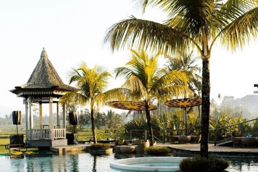 A gazebo, palm trees, a pool, and outdoor furniture. 5
