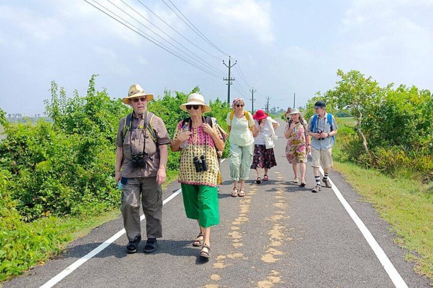 A group of people walking on a paved path surrounded by greenery. 4