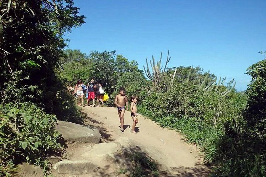 A dirt path with people walking, surrounded by greenery and cacti. 5