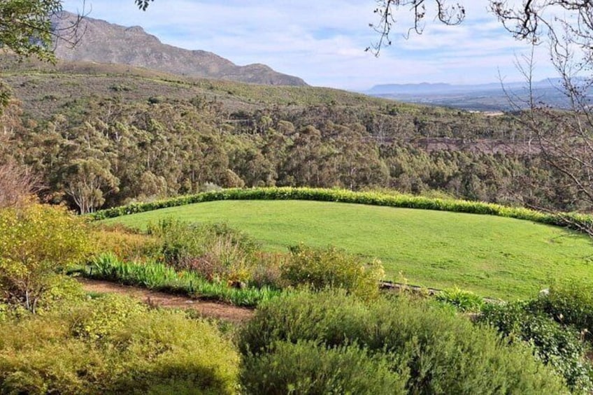 A green field with a curved path, surrounded by dense vegetation and hills in the background. 3
