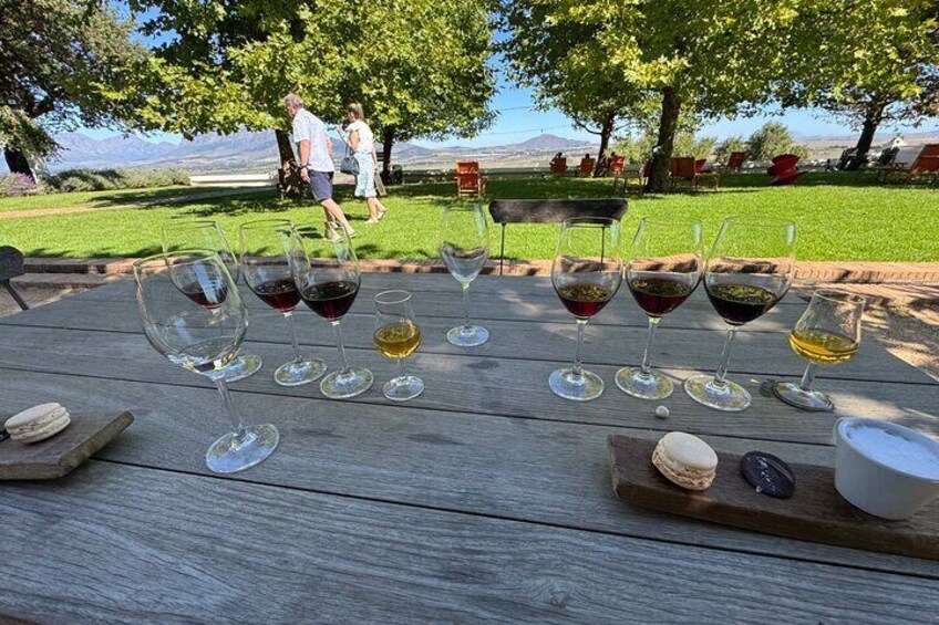 A wooden table with wine glasses and macarons, set outdoors with a grassy area and trees in the background. 1