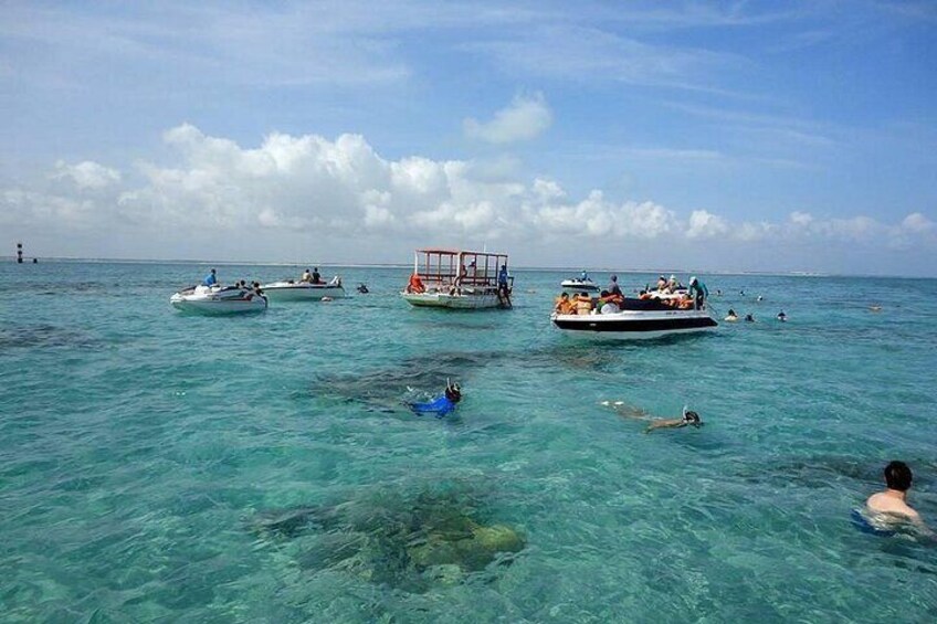 Explore the Stunning Parrachos de Rio do Fogo Reefs 3