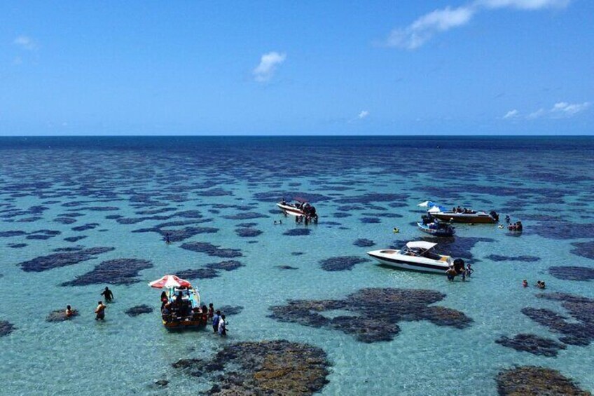 Explore the Stunning Parrachos de Rio do Fogo Reefs 2