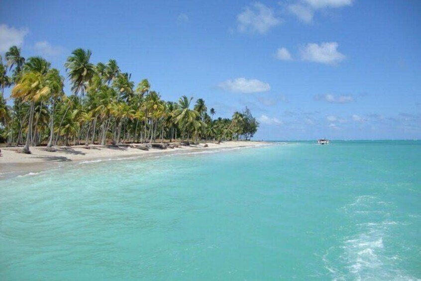 Maragogi a Private Tour of Paradise Beaches 5
