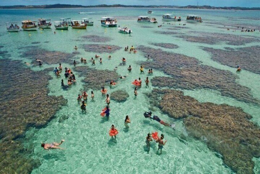 Maragogi a Private Tour of Paradise Beaches 3