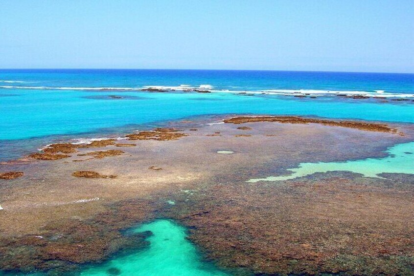 Maragogi a Private Tour of Paradise Beaches 4