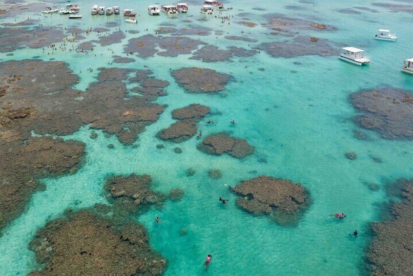 Maragogi a Private Tour of Paradise Beaches 1