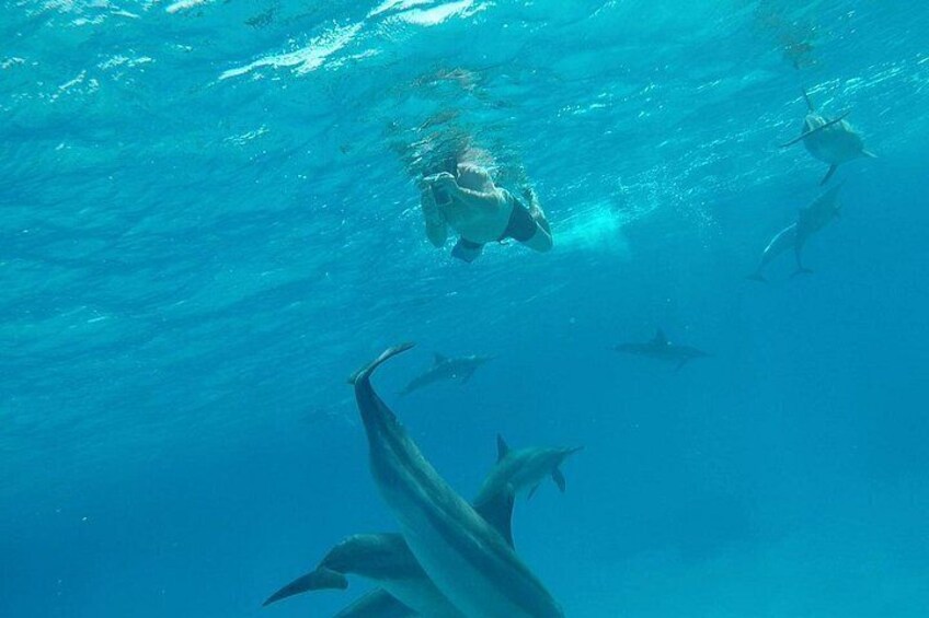 A person swimming underwater with sharks. 3