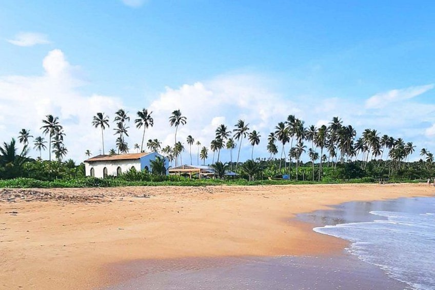 A sandy beach with palm trees, a white building with arches, and a clear blue sky. 4