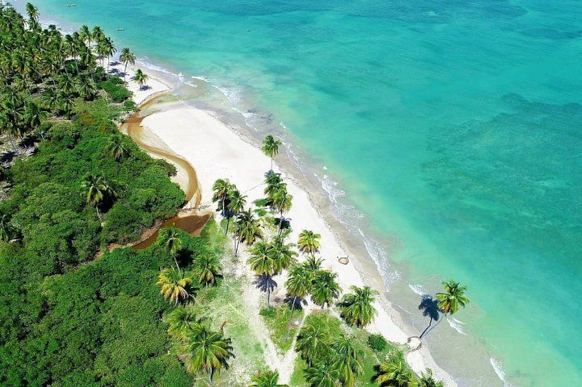 A tropical beach with clear turquoise waters, white sand, and lush green vegetation. 2